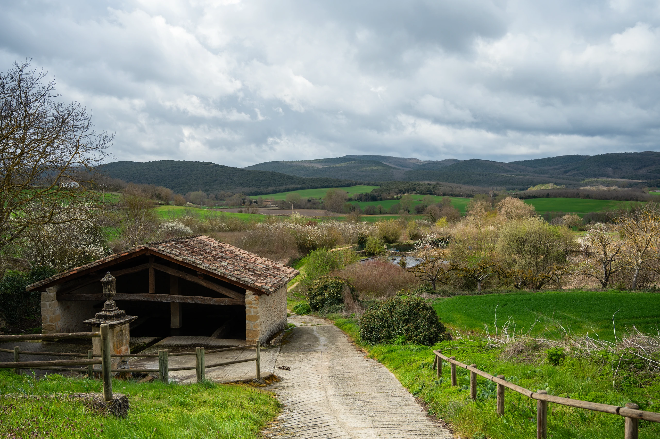 Foto de la ruta
