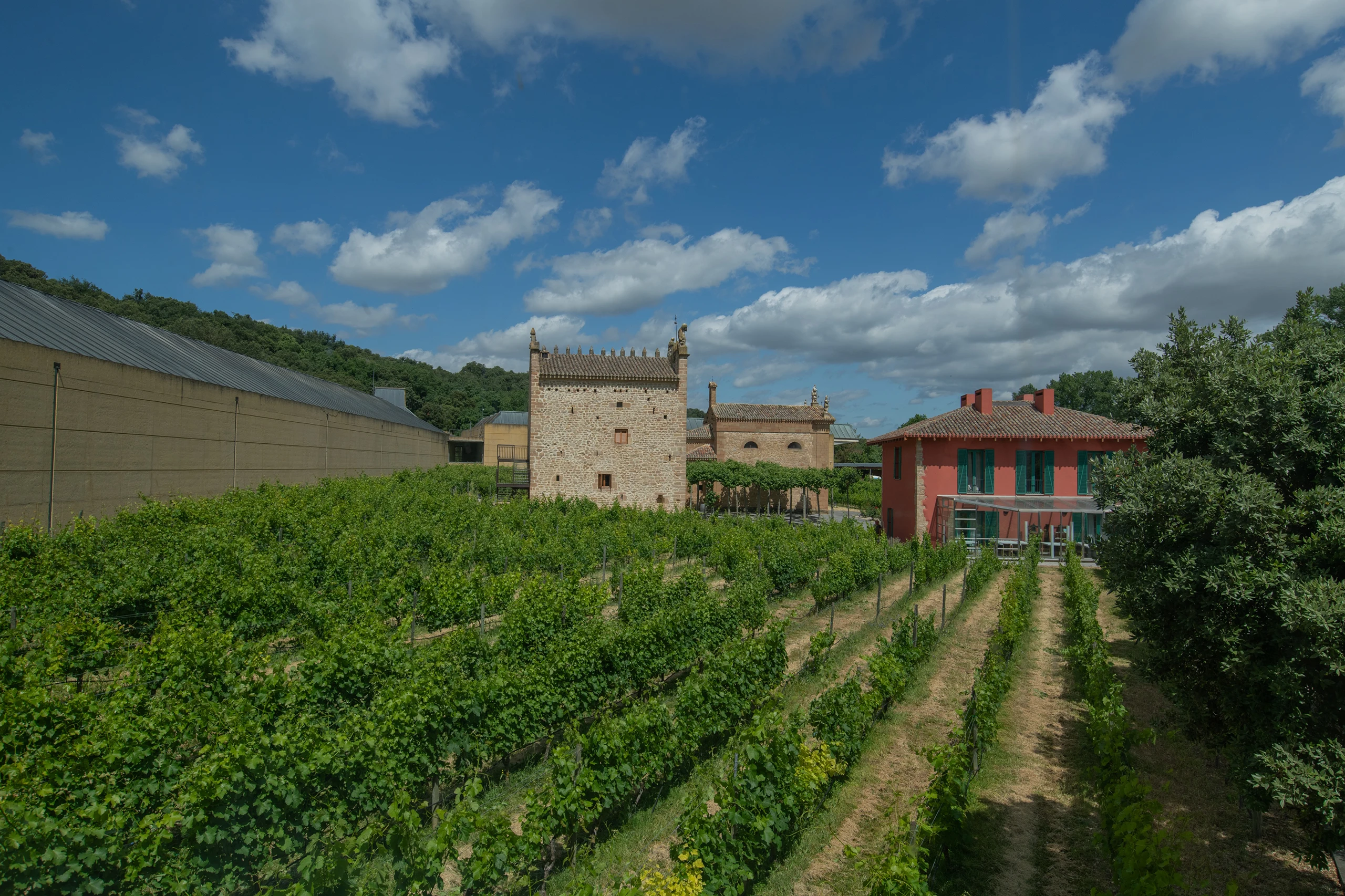 Foto 1 - Bodega Ar&iacute;nzano