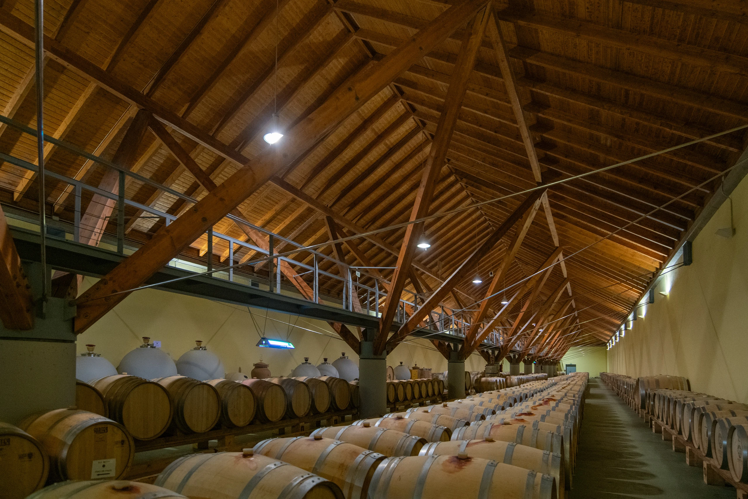 Foto 2 - Bodega Ar&iacute;nzano