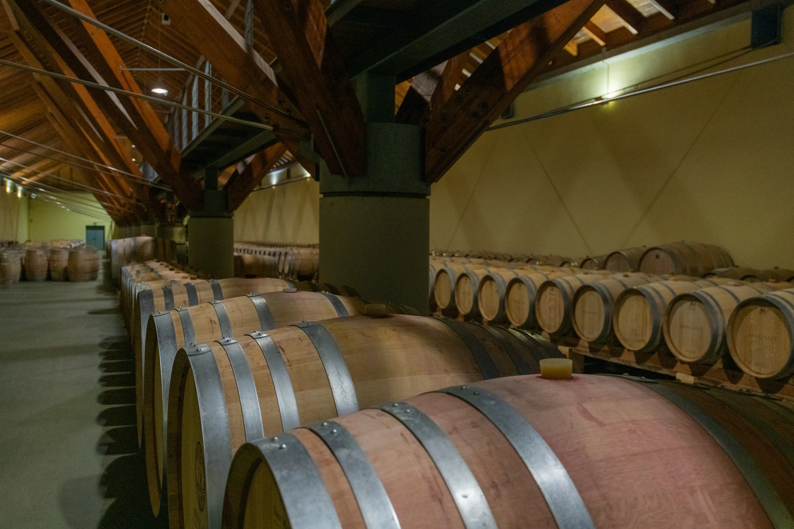 Foto 3 - Bodega Ar&iacute;nzano