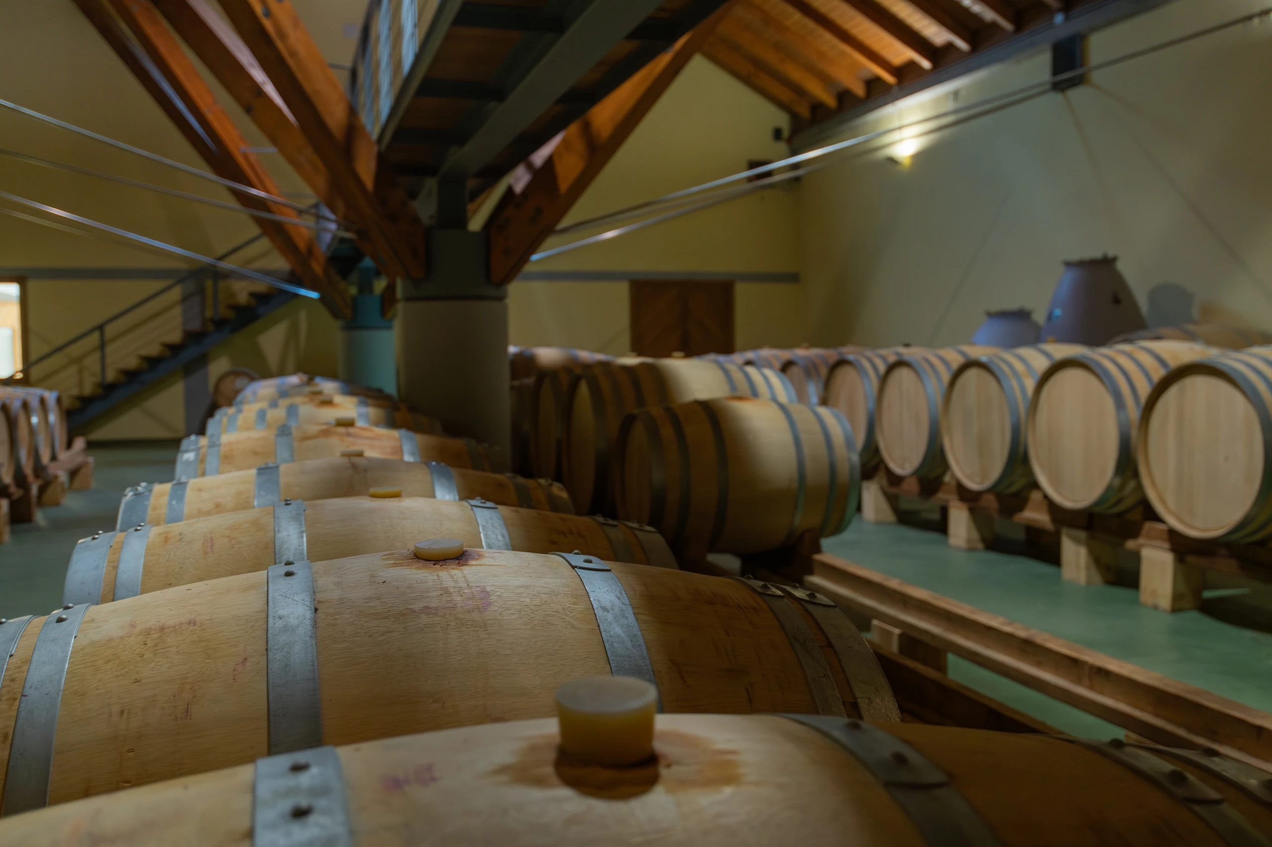 Foto 4 - Bodega Ar&iacute;nzano