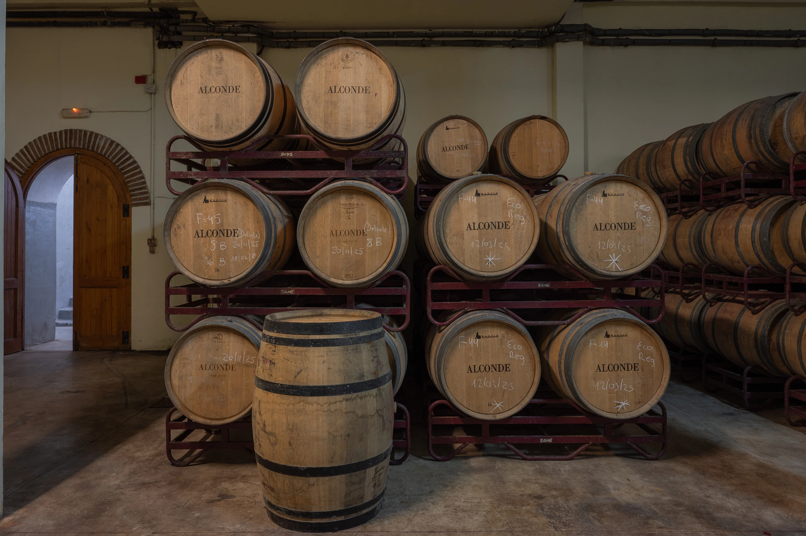 Foto 5 - Bodega y Vi&ntilde;edos Alconde