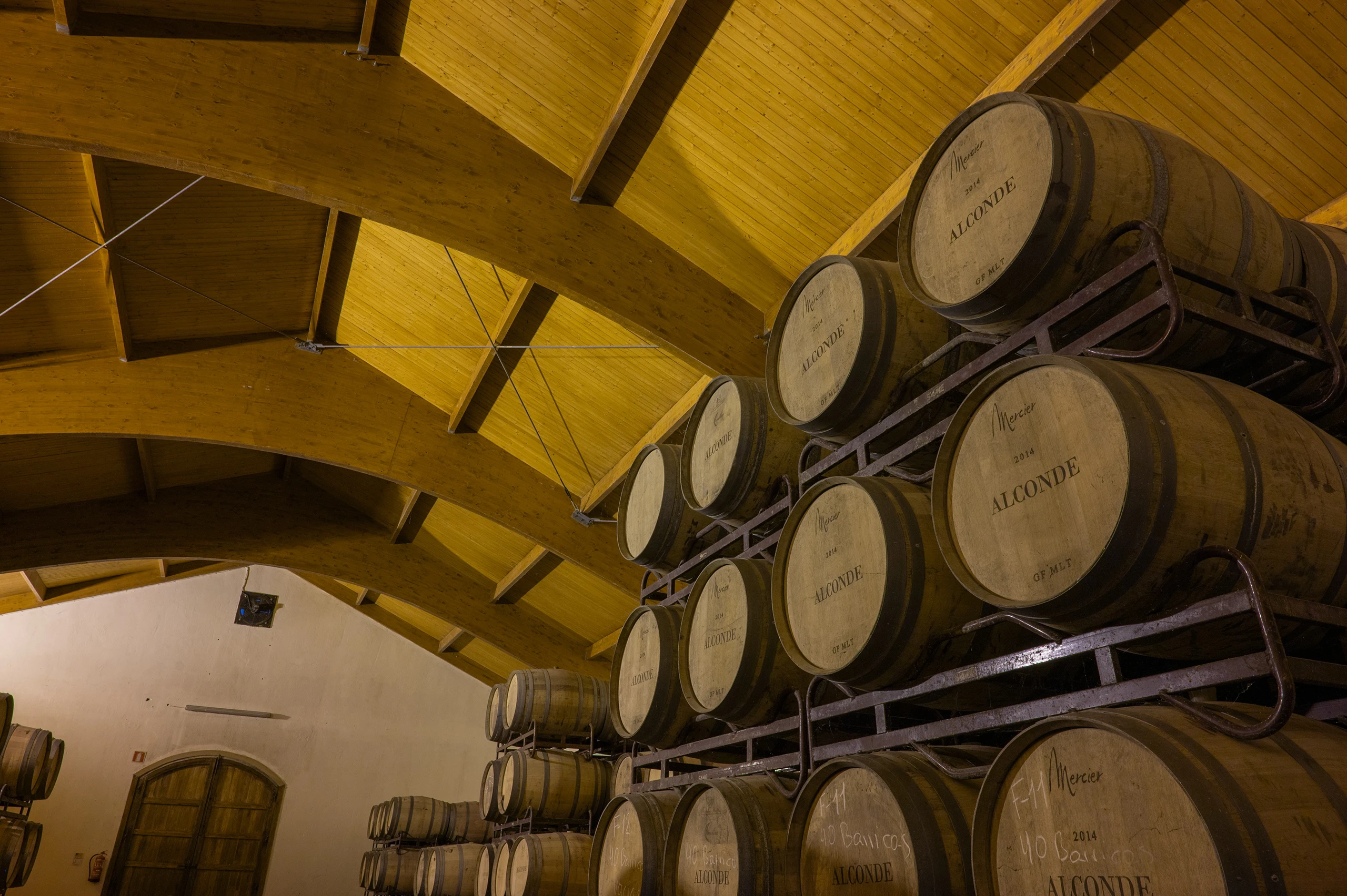 Foto 3 - Bodega y Vi&ntilde;edos Alconde