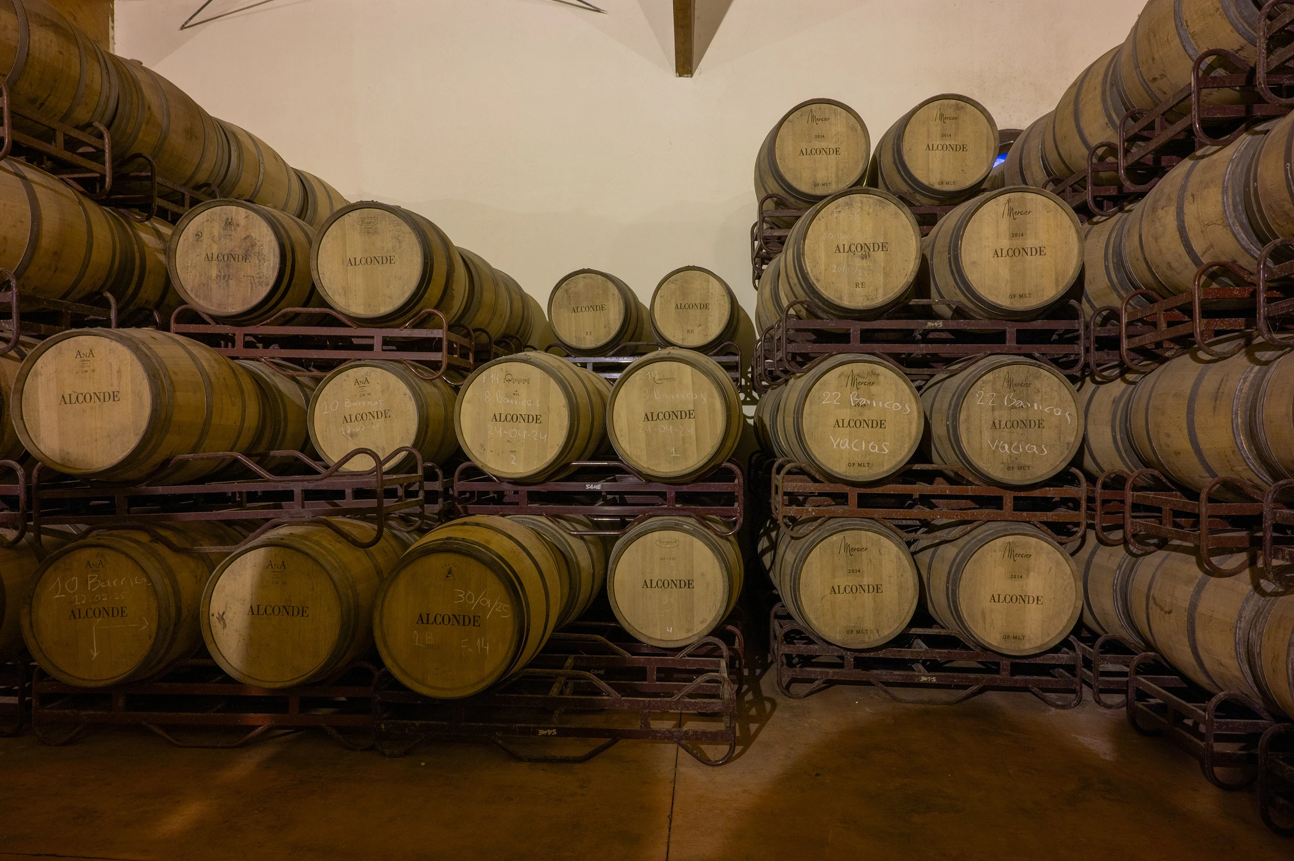 Foto 4 - Bodega y Vi&ntilde;edos Alconde