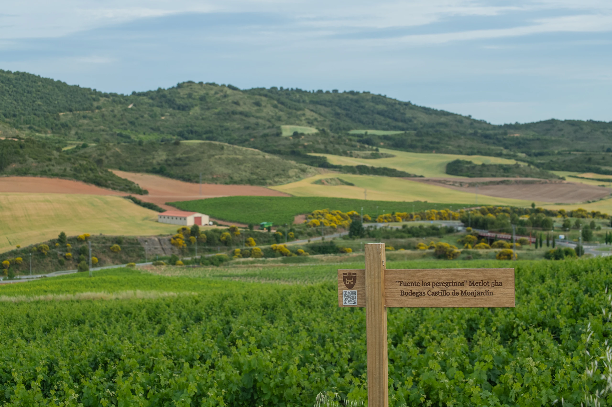 Foto 5 - Bodegas Castillo de Monjard&iacute;n