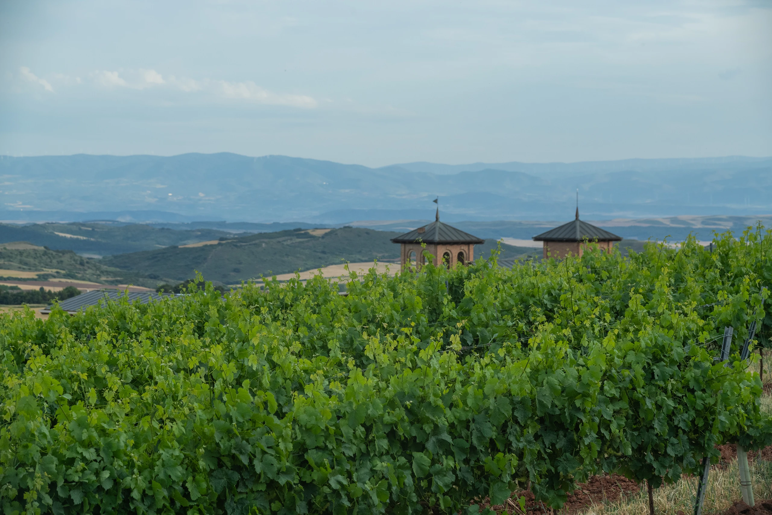 Foto 6 - Bodegas Castillo de Monjard&iacute;n