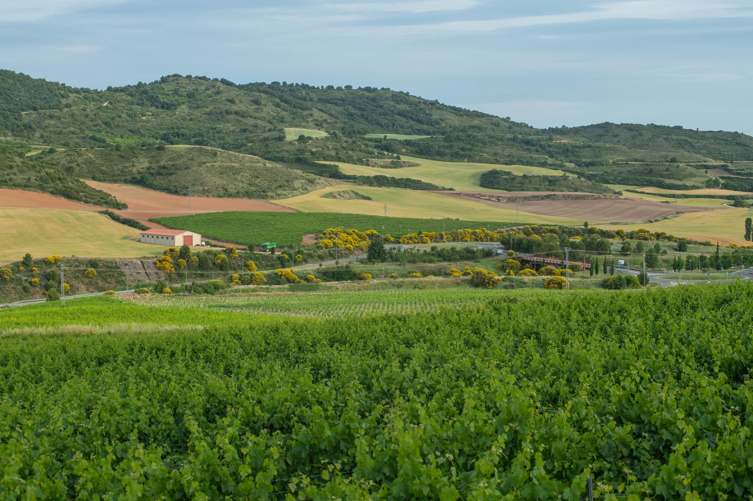 Foto 4 - Bodegas Castillo de Monjard&iacute;n