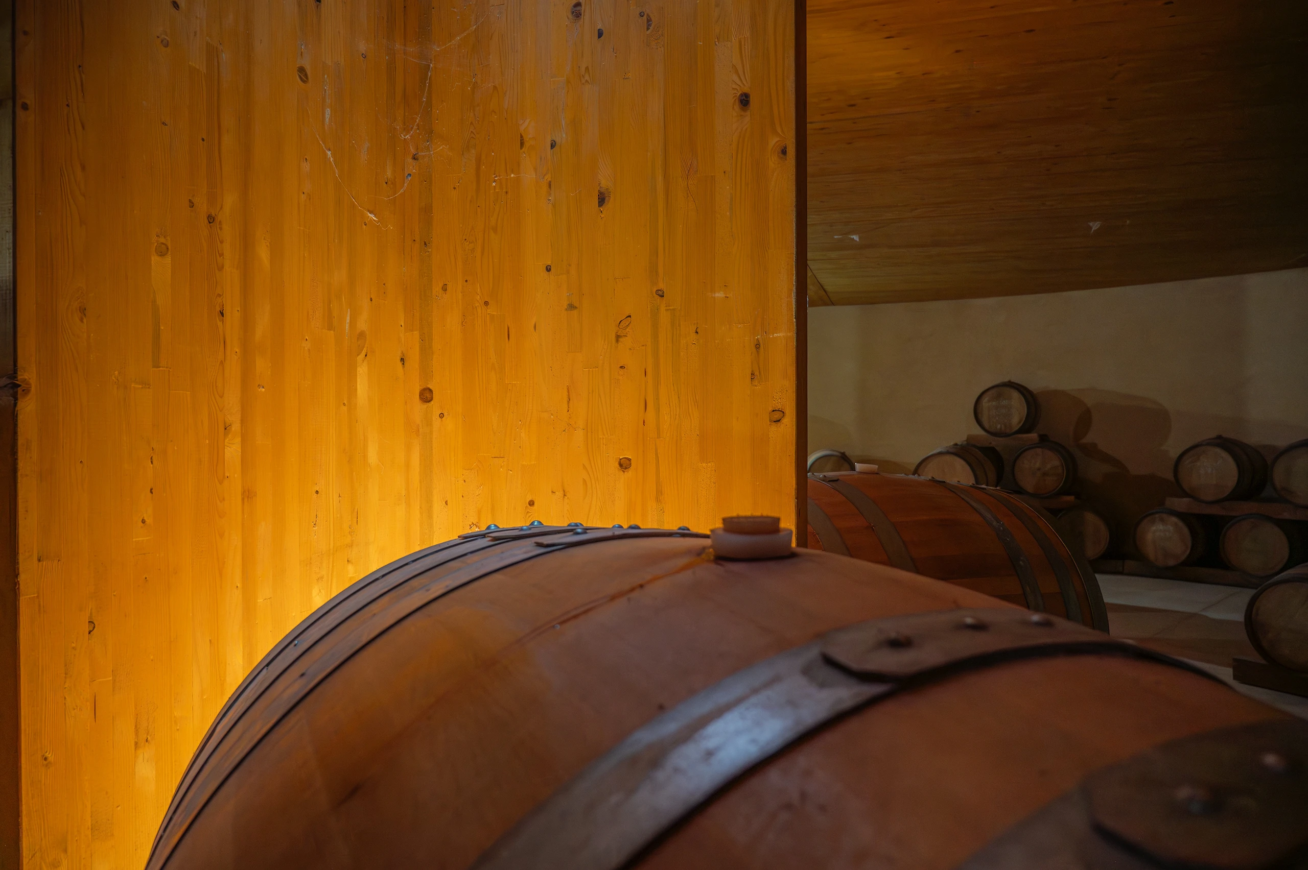 Foto 9 - Bodegas Emilio Valerio