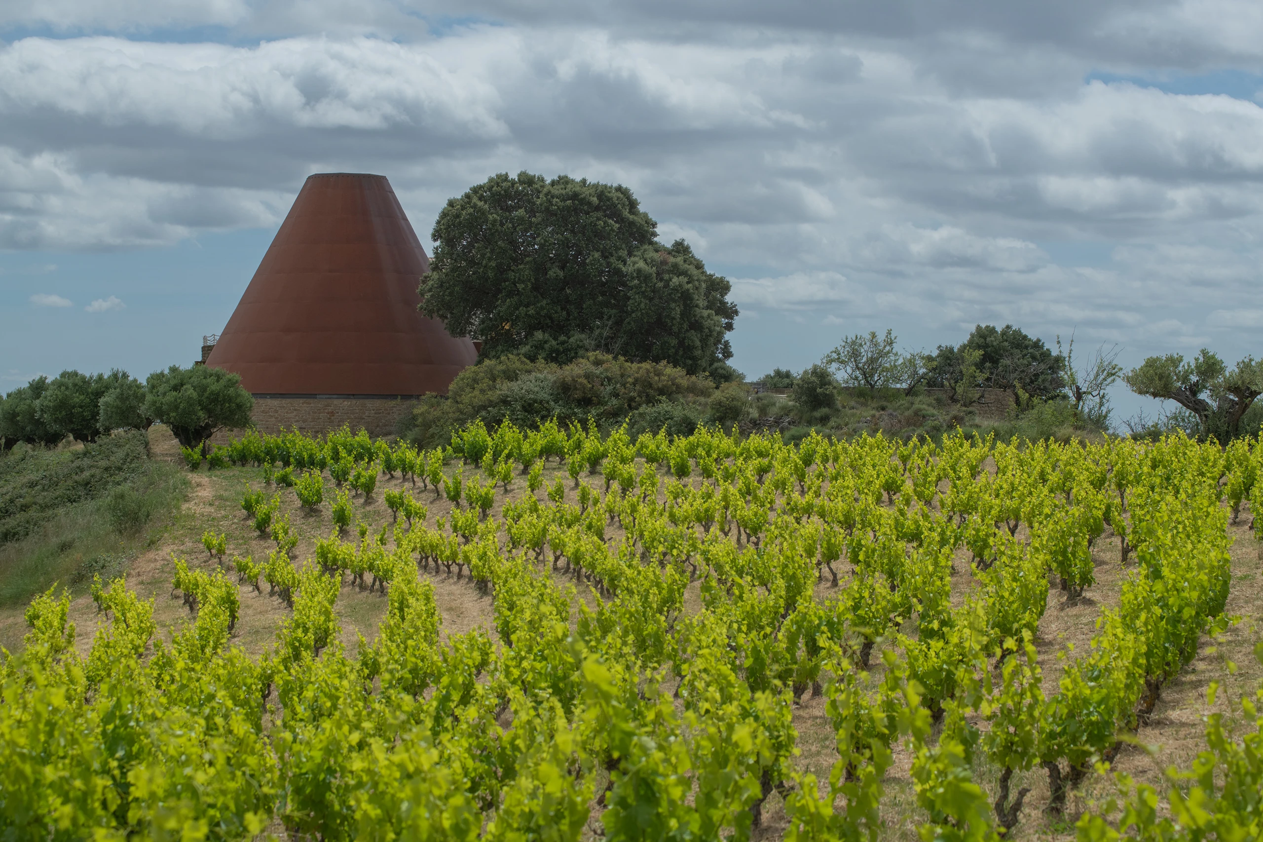 Recuperaci&oacute;n del patrimonio varietal navarro y la expresi&oacute;n de el terroir