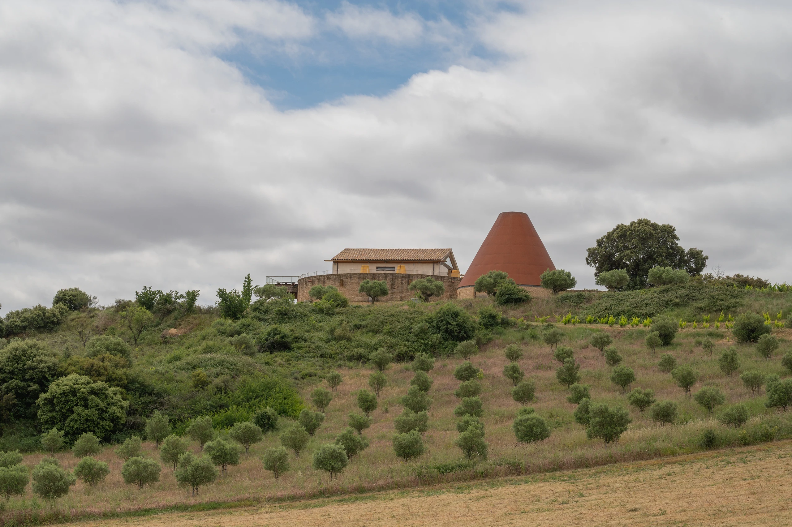 Foto 1 - Bodegas Emilio Valerio