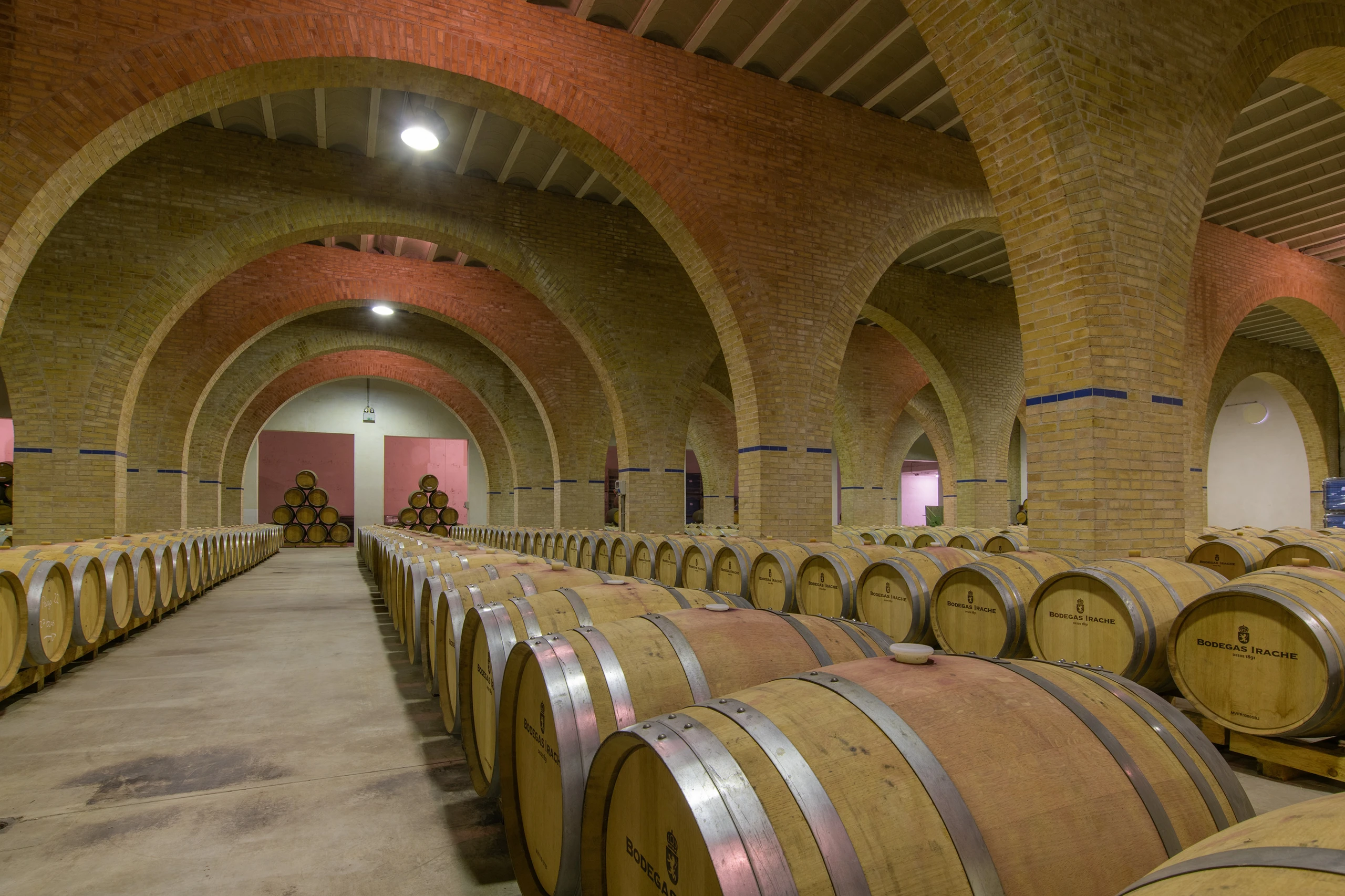 Enoturismo vinculado al Camino