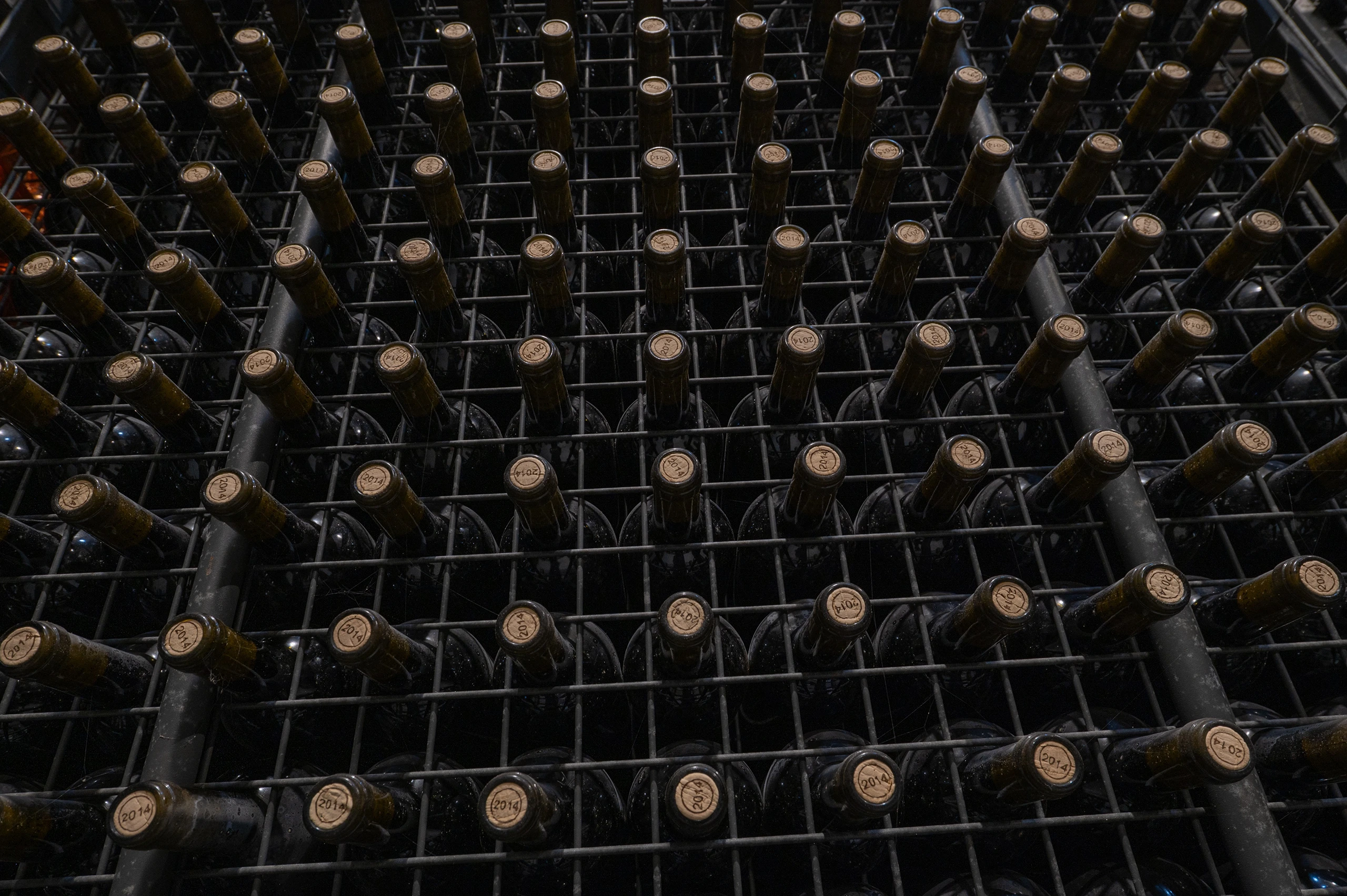 Foto 1 - Bodegas Pago de Larrainzar