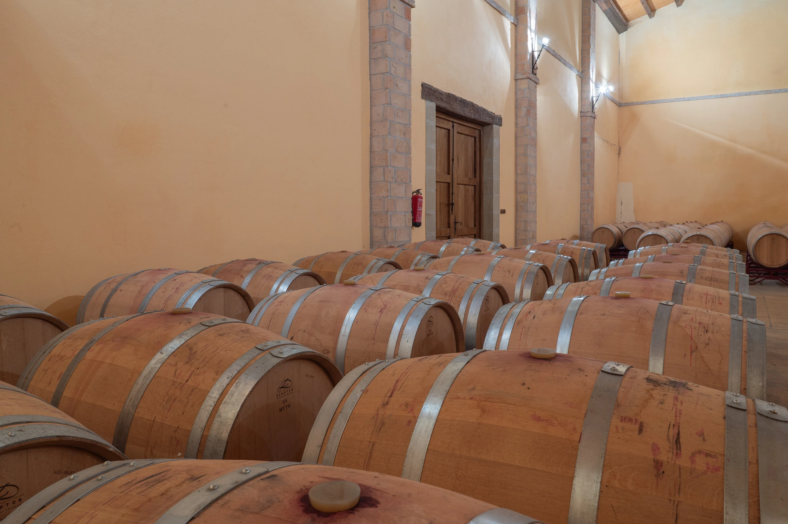 Foto 6 - Bodegas y Vi&ntilde;edos Alzania