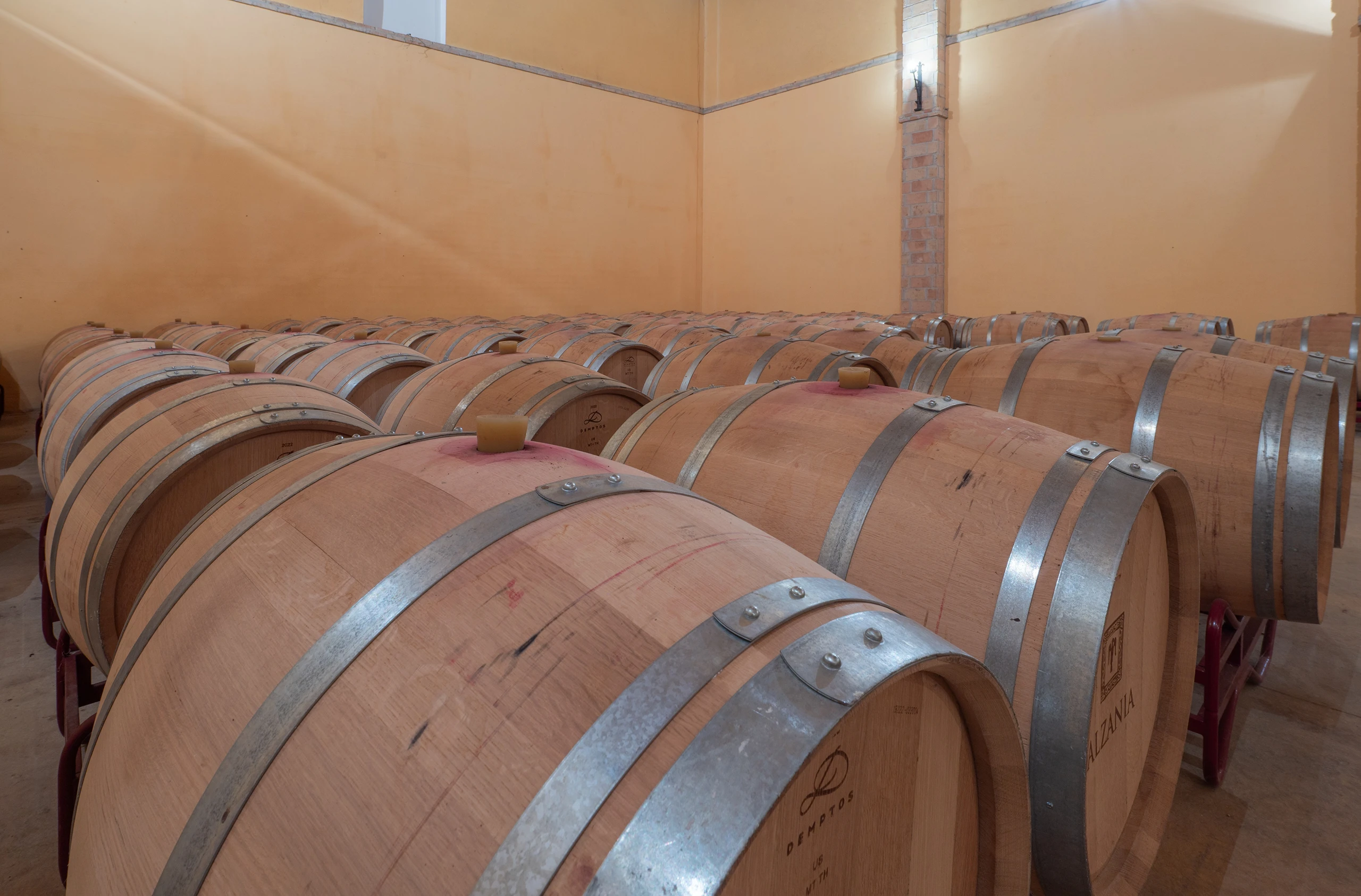 Foto 7 - Bodegas y Vi&ntilde;edos Alzania