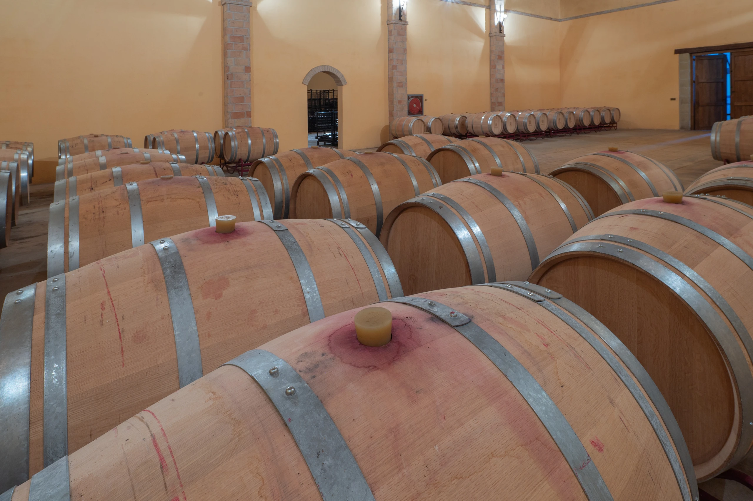 Foto 8 - Bodegas y Vi&ntilde;edos Alzania
