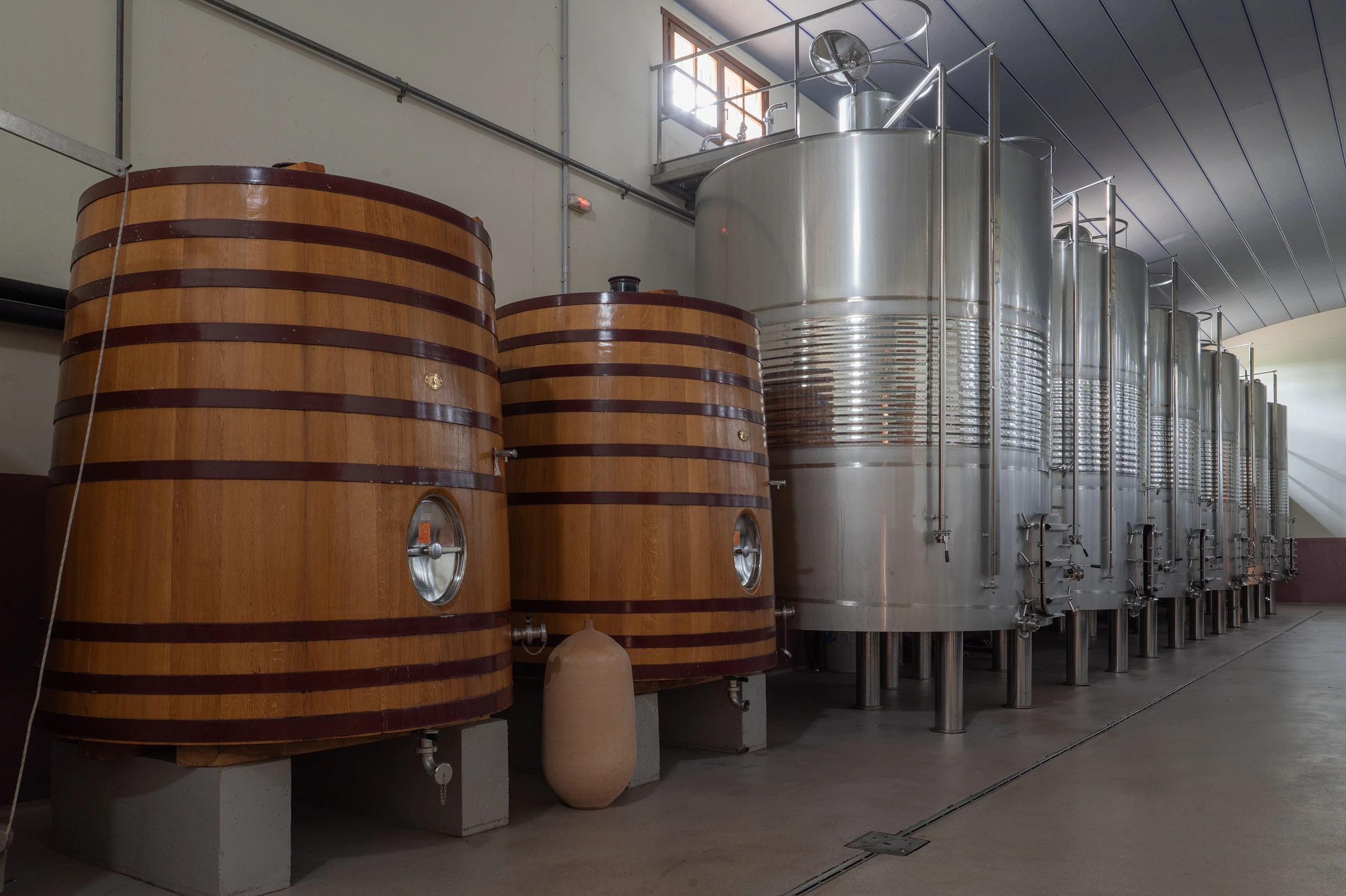 Foto 9 - Bodegas y Vi&ntilde;edos Alzania