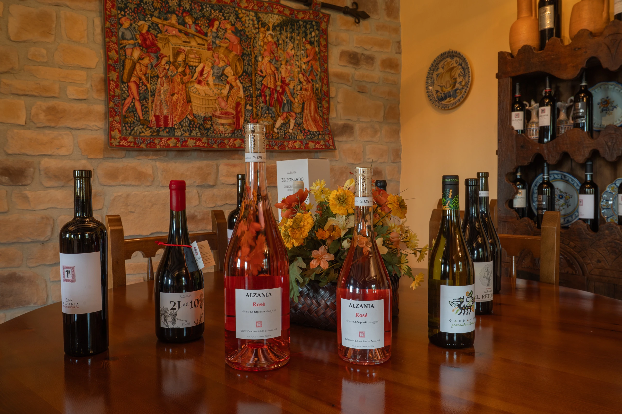 Vi&ntilde;edos propios en el coraz&oacute;n de Tierra Estella