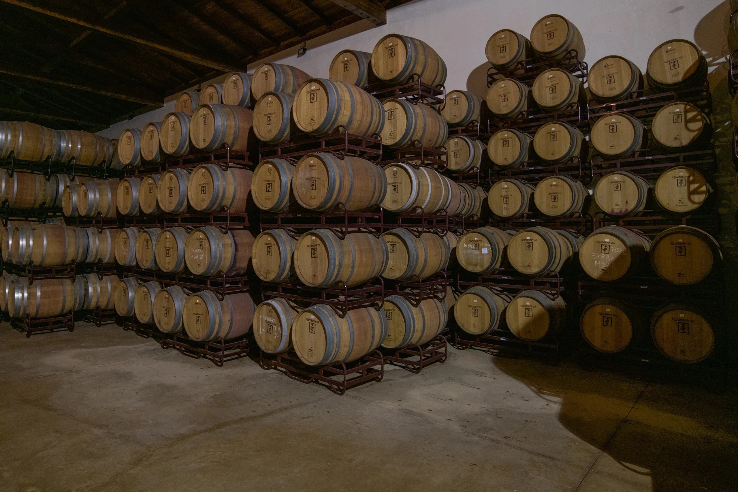 Foto 6 - Bodegas y Vi&ntilde;edos Quaderna V&iacute;a