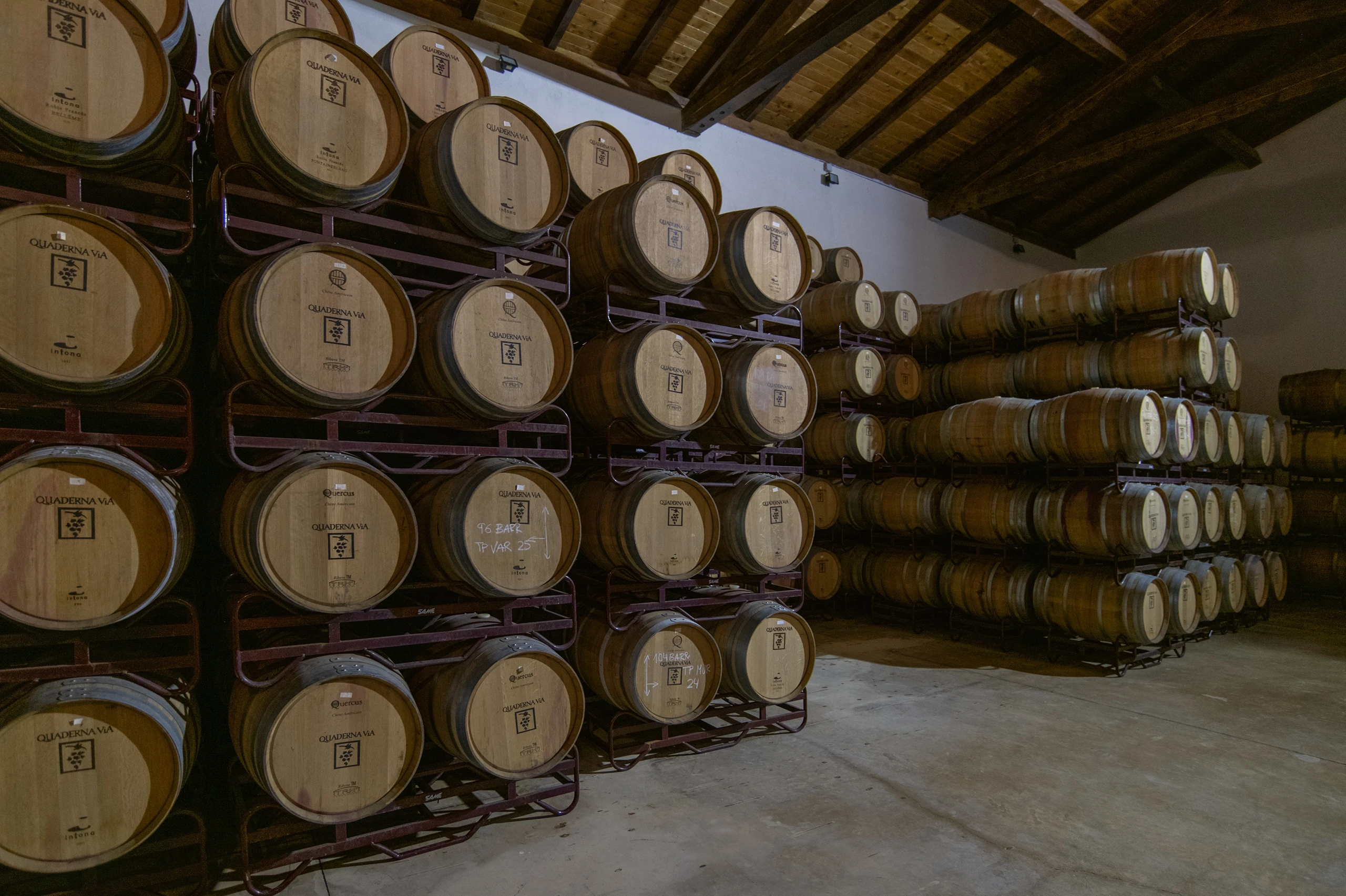 Foto 7 - Bodegas y Vi&ntilde;edos Quaderna V&iacute;a