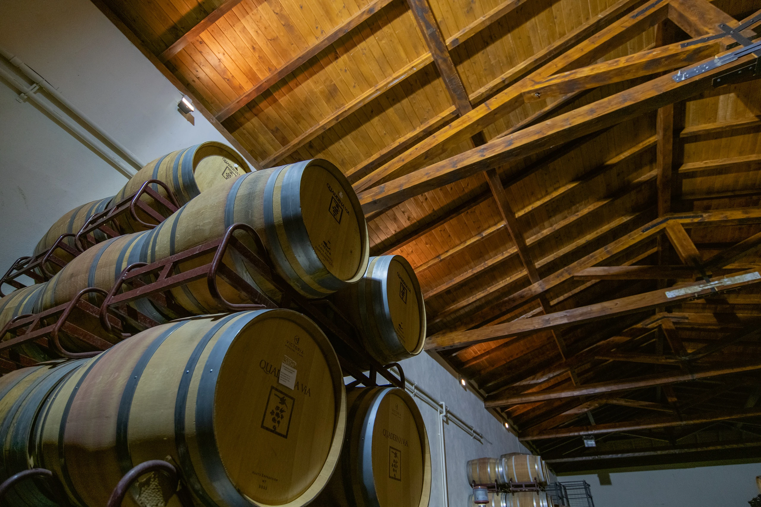 Foto 8 - Bodegas y Vi&ntilde;edos Quaderna V&iacute;a