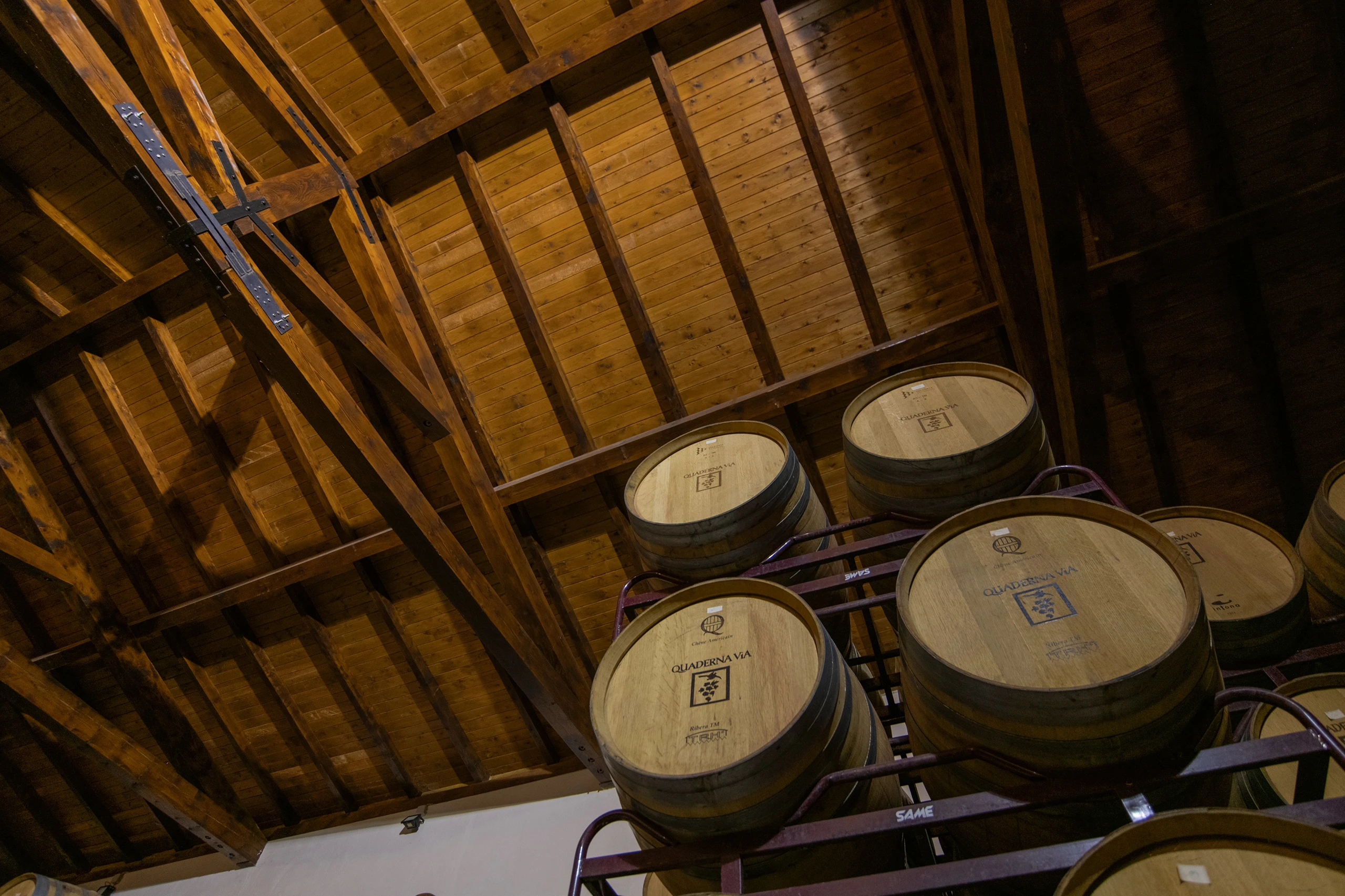 Foto 9 - Bodegas y Vi&ntilde;edos Quaderna V&iacute;a