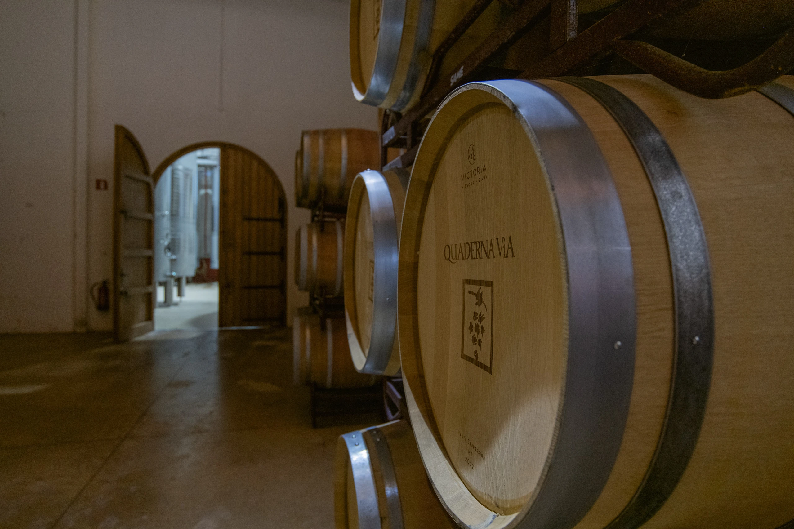 Foto 10 - Bodegas y Vi&ntilde;edos Quaderna V&iacute;a