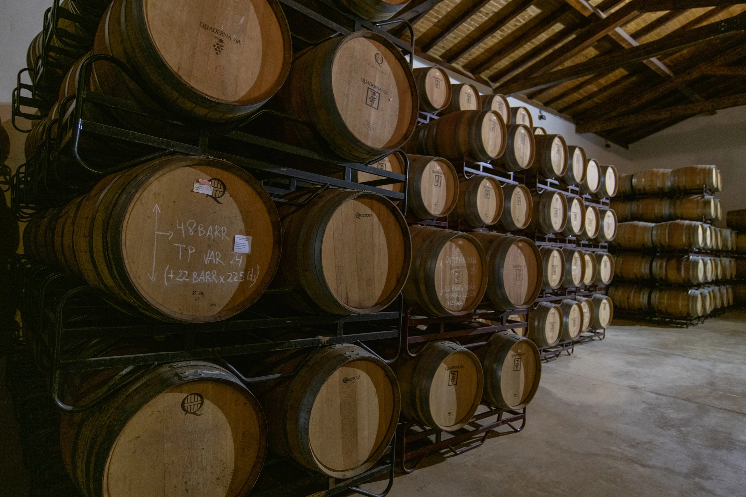 Pioneros del vino ecol&oacute;gico