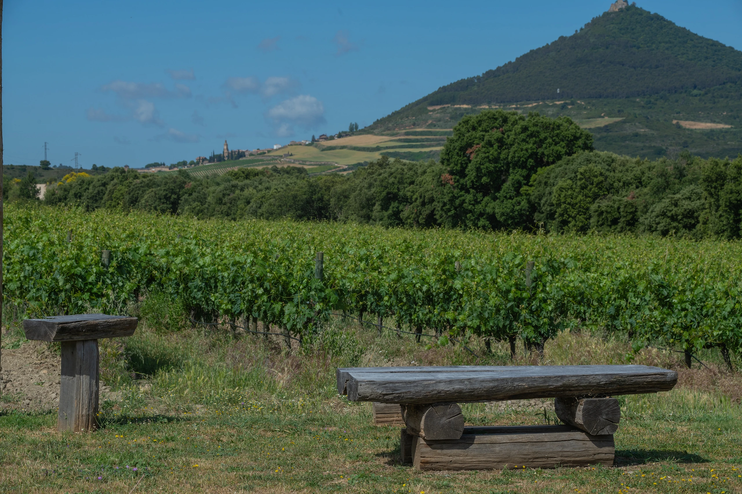 Foto 1 - Bodegas y Vi&ntilde;edos Quaderna V&iacute;a