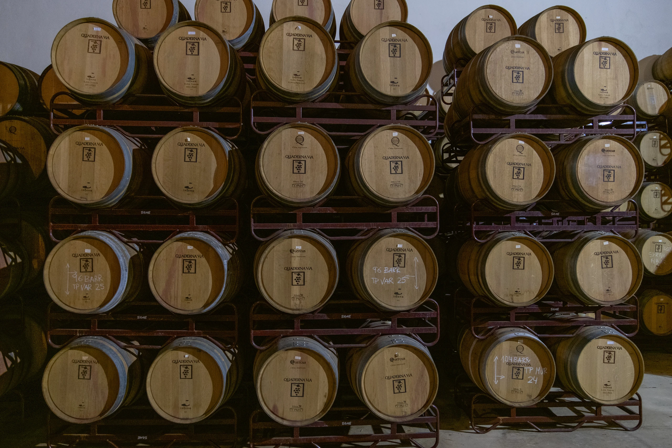 Foto 4 - Bodegas y Vi&ntilde;edos Quaderna V&iacute;a