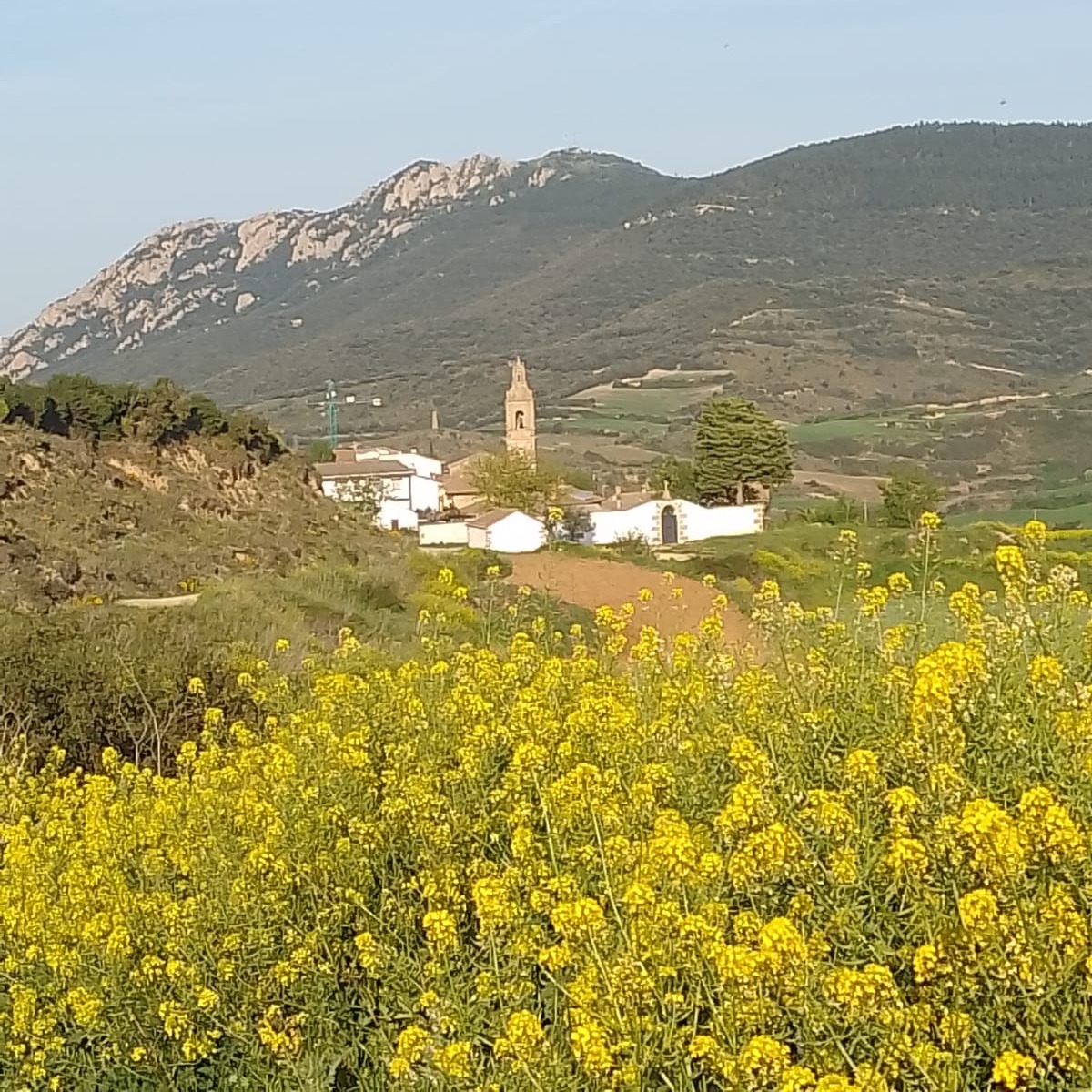 Casa Rural Montedeio - foto 9