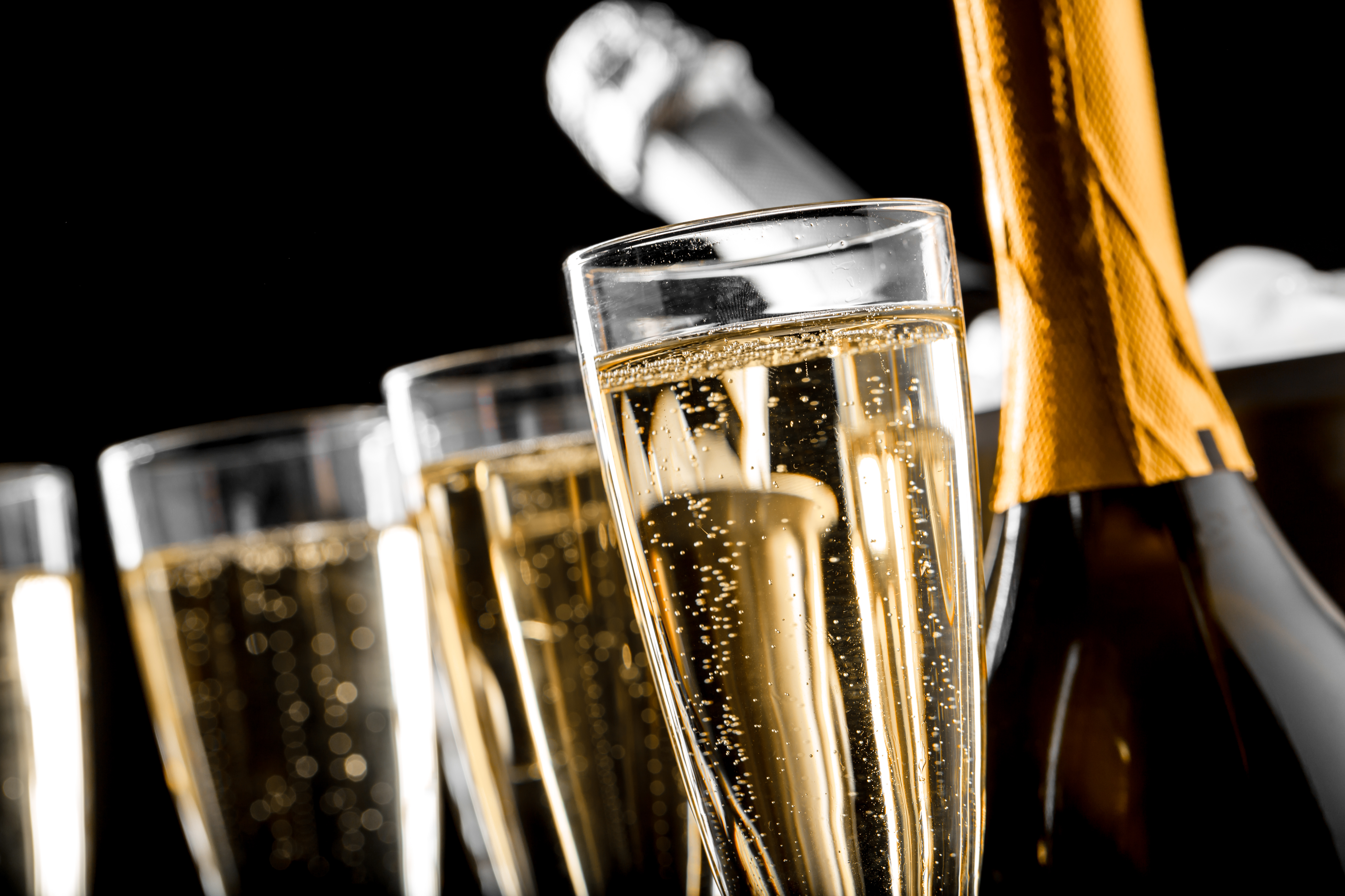 Especialistas en cava desde 1982