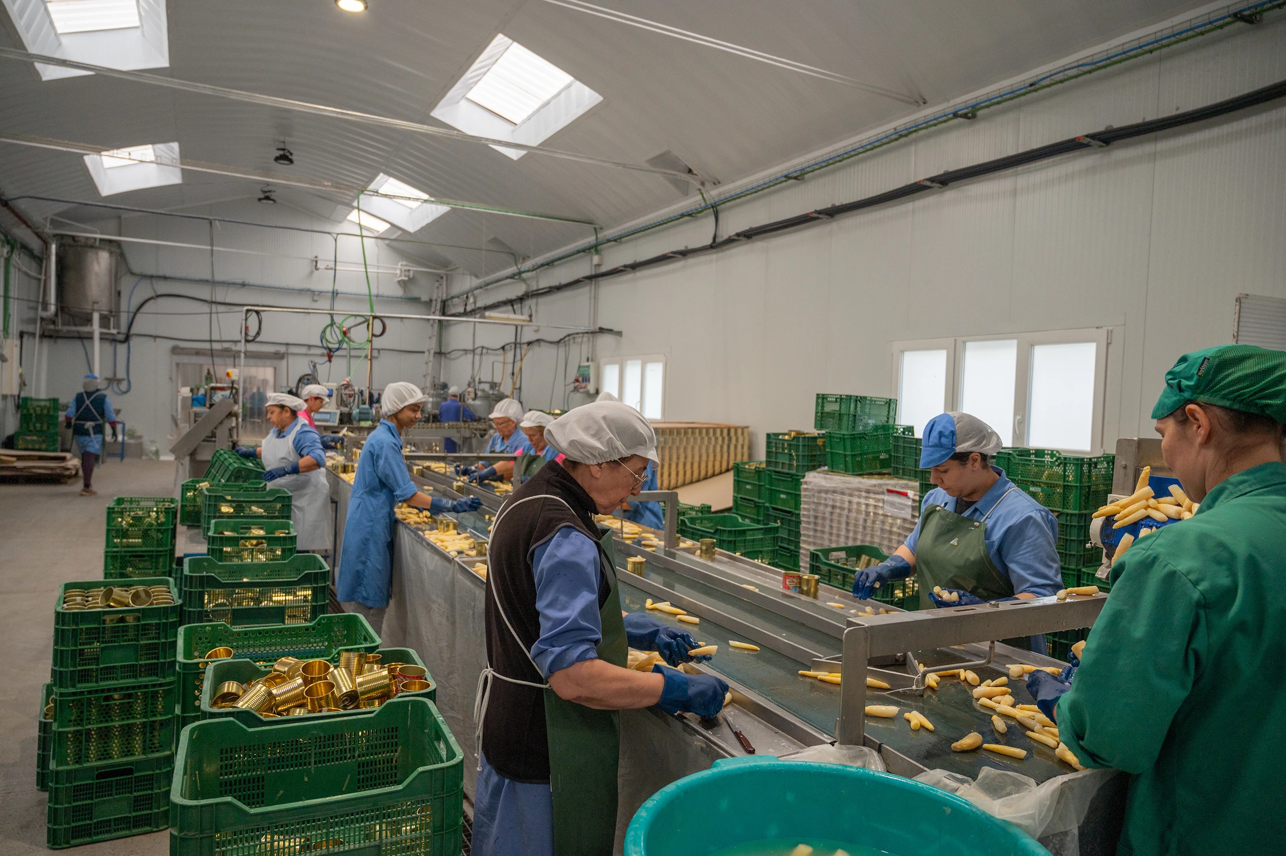 Verduras de la huerta navarra elaboradas a mano