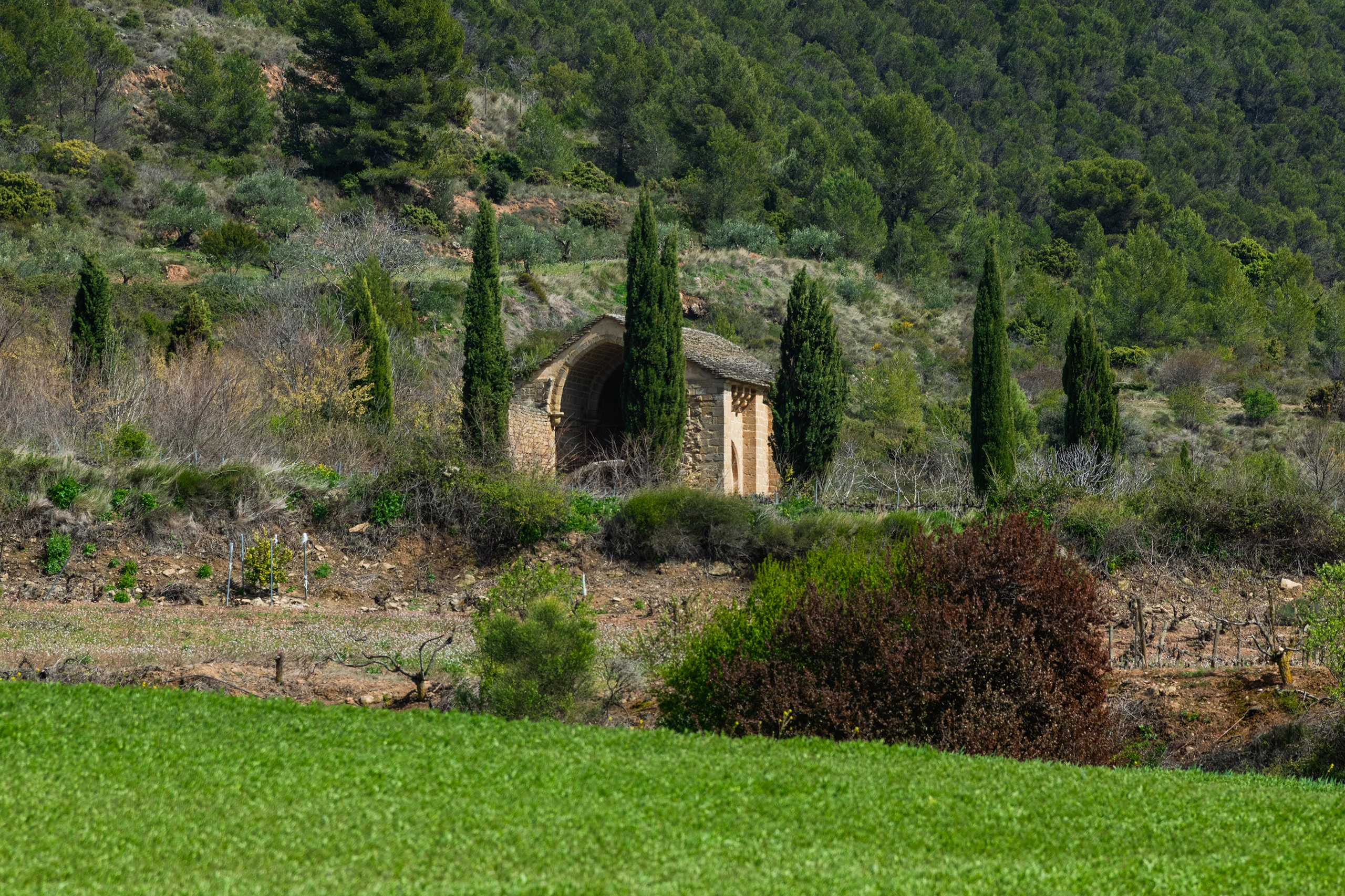 Testimonio de un pueblo desaparecido
