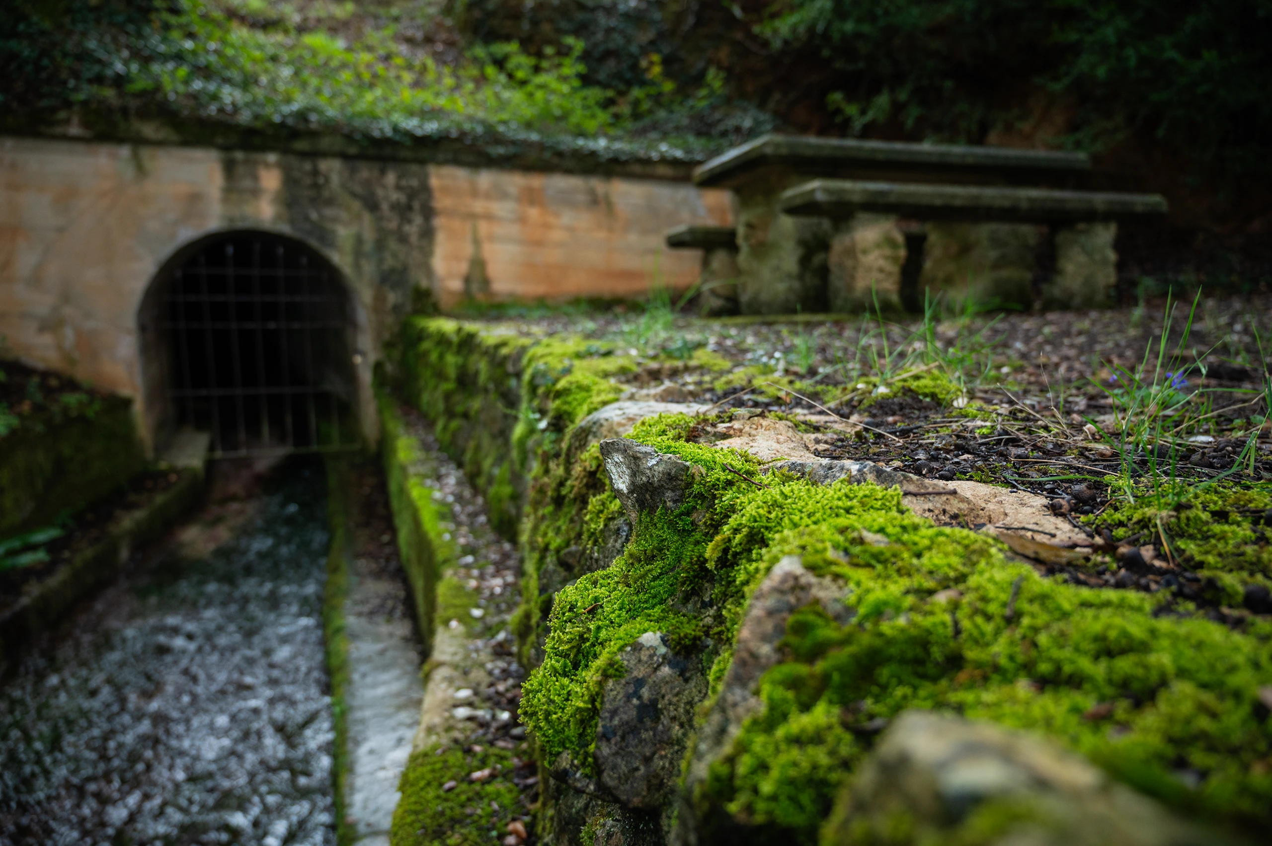 Origen de un paisaje de agua