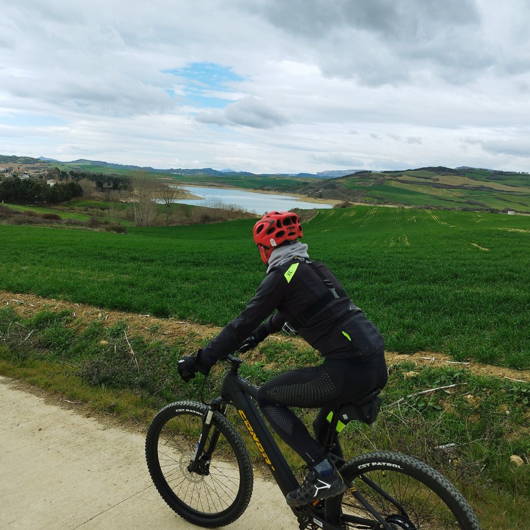 Mendi E-Bike