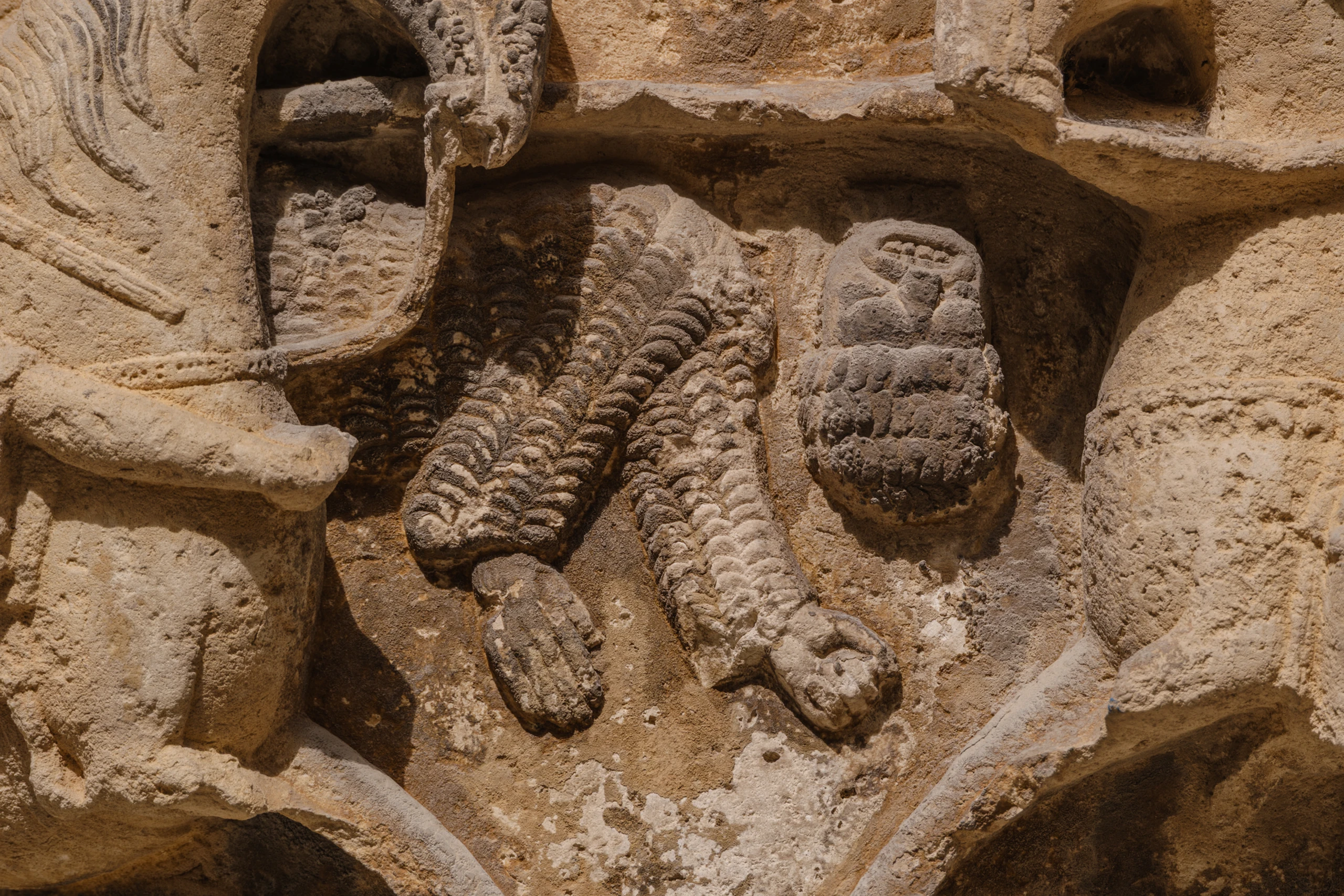 Foto 14 - Palacio de los Reyes de Navarra