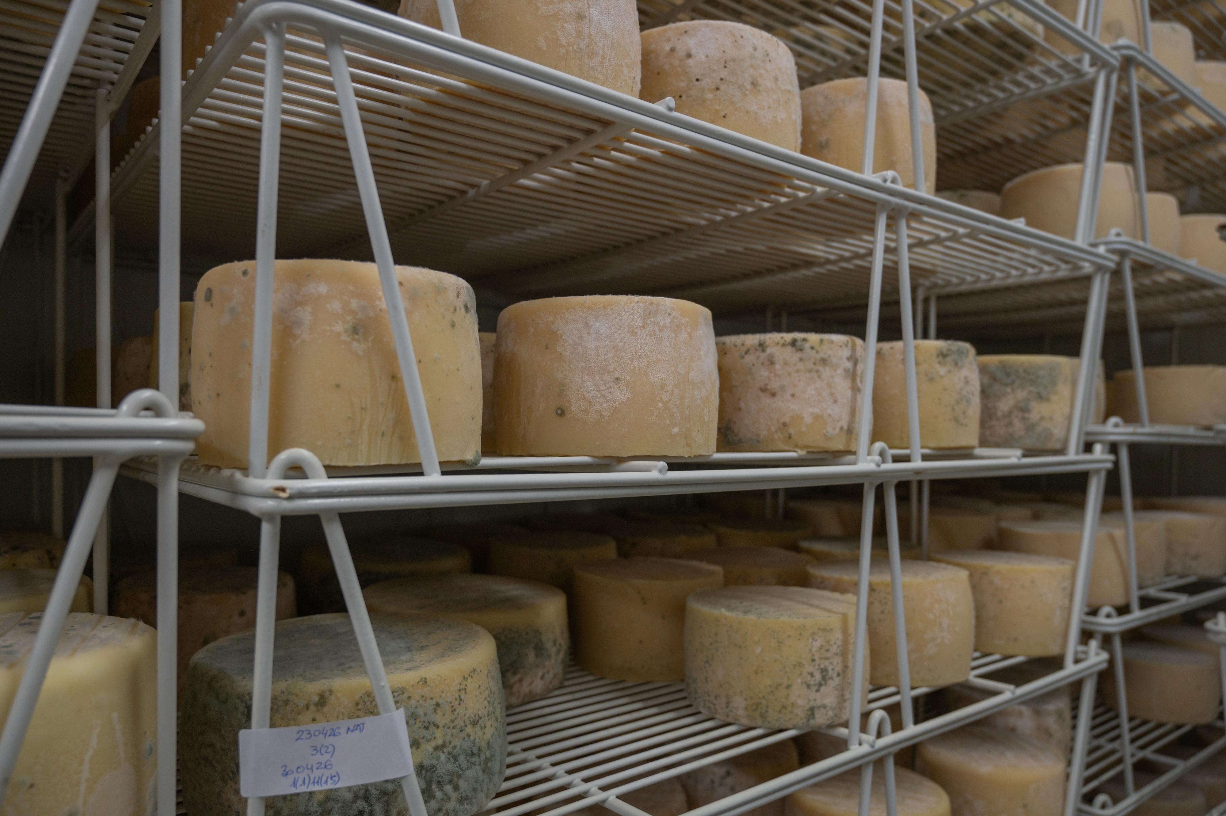 Maduraci&oacute;n en una antigua bodega subterr&aacute;nea