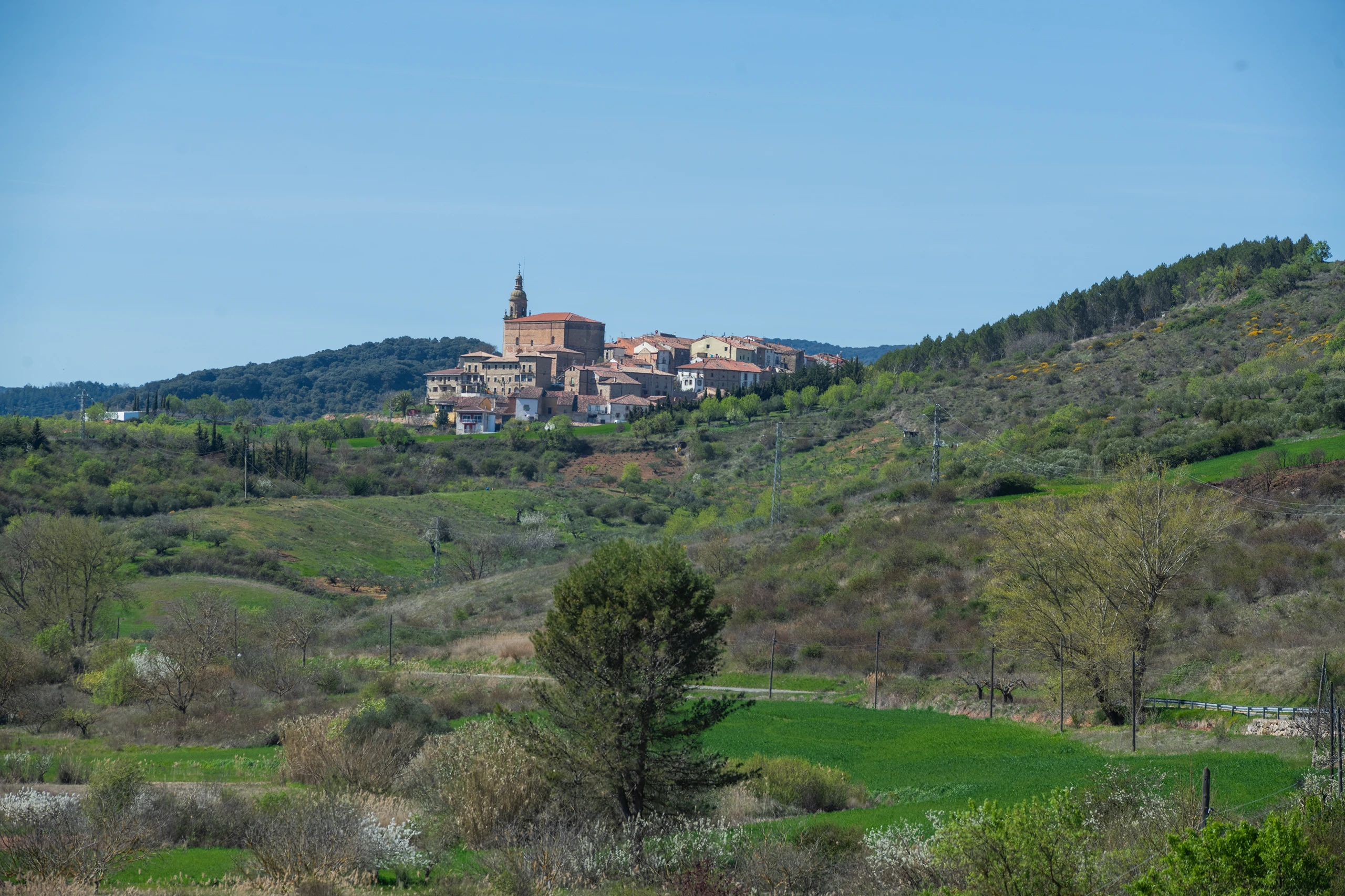 Torralba del R&iacute;o