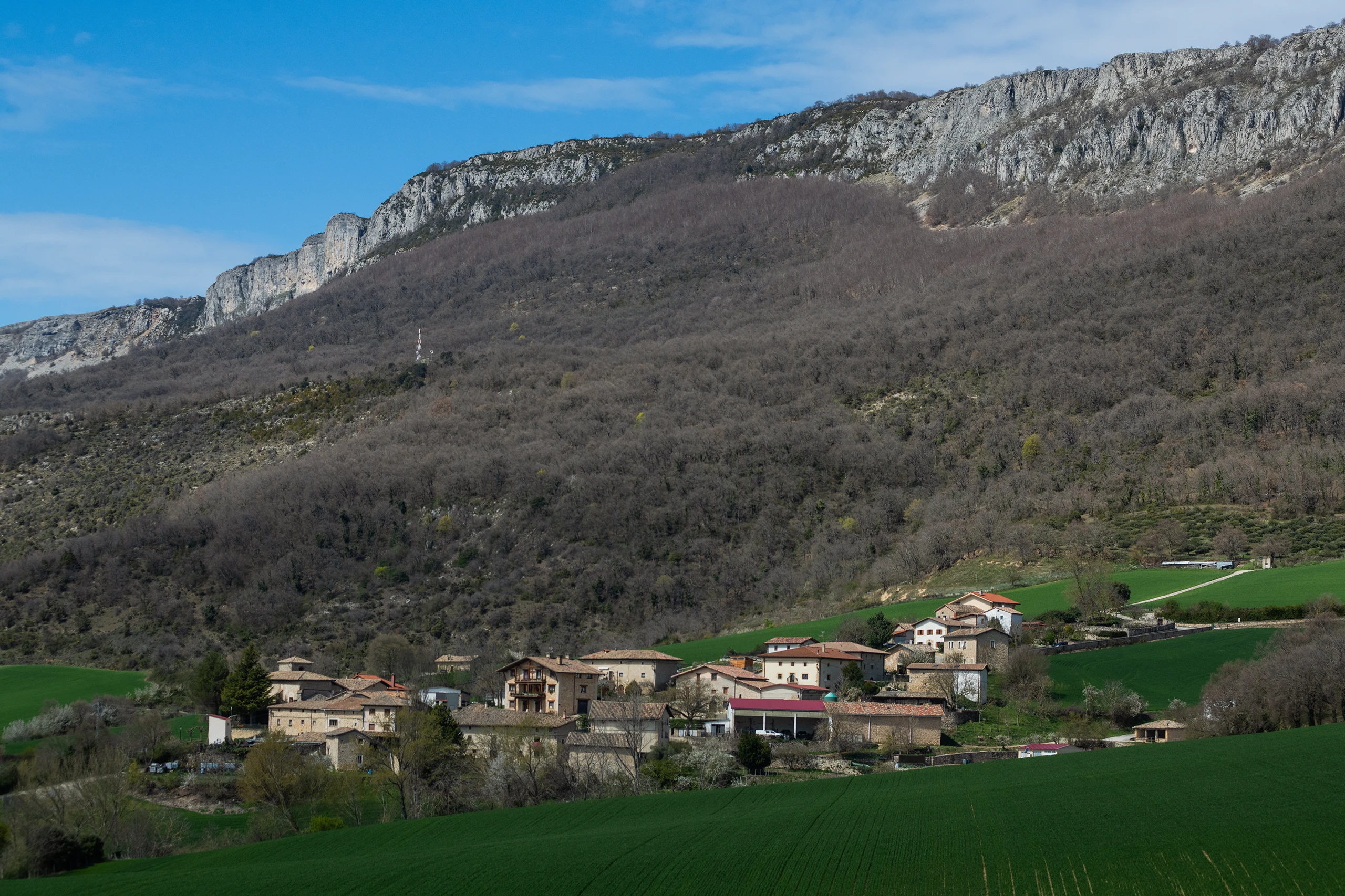 Ulibarri